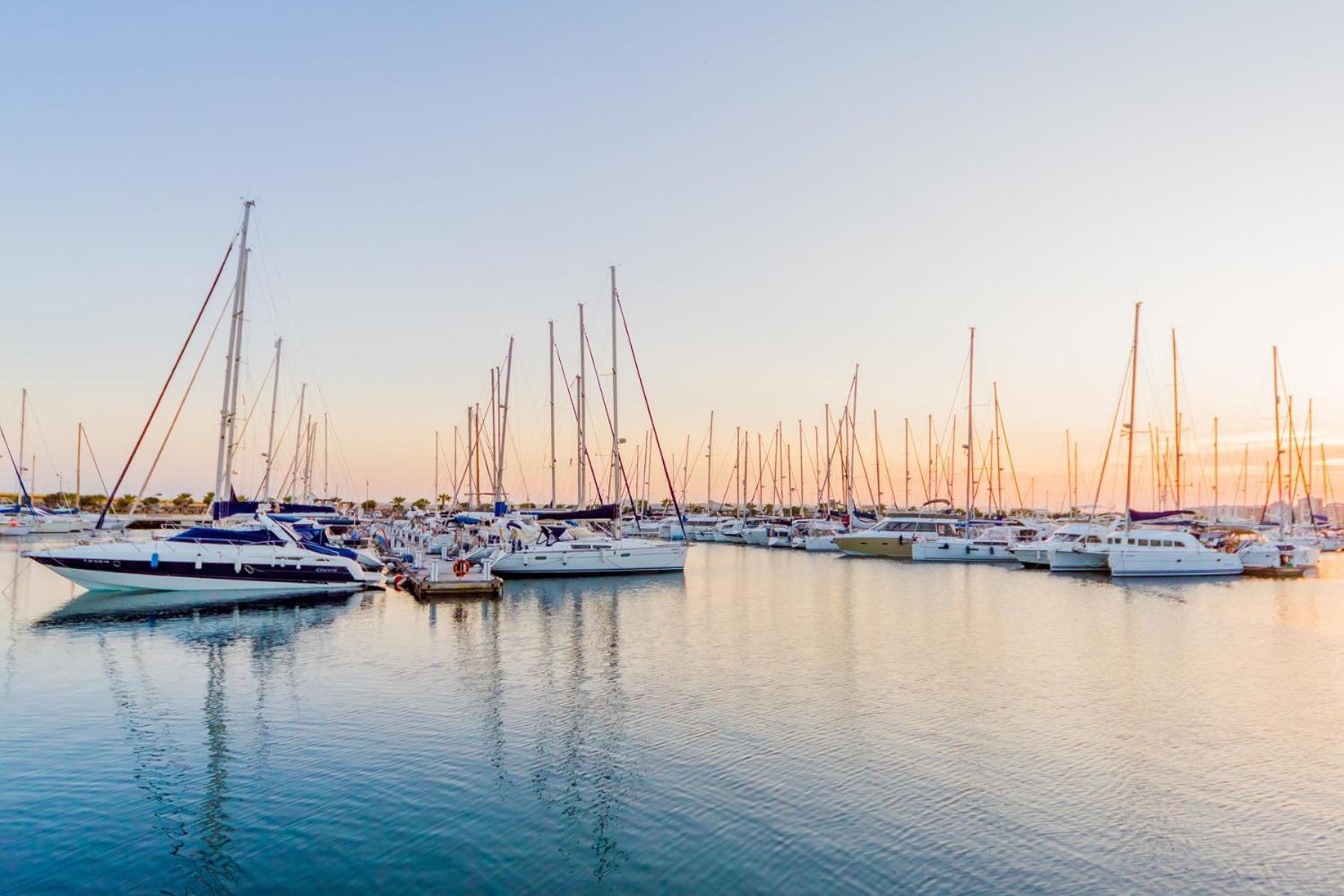Alegria Id 76 Lejlighed Torrevieja Eksteriør billede